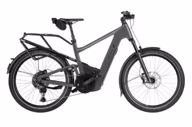 Riese & Müller Delite5 Touring, Offroad Ki, Kiox 500