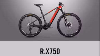 Rotwild R.x750 Pro