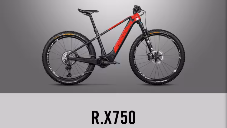 Rotwild R.x750 Pro