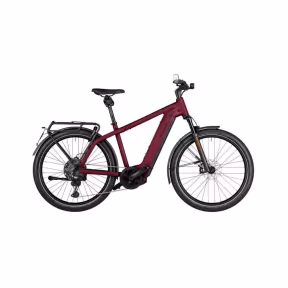 Riese & Müller E-Bike Charger4 Gt Touring