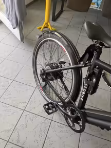 Saxonette Speedbike