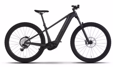 TREK Powerfly+ 4 Gen 5