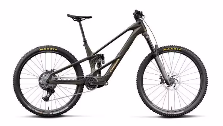 Orbea Wild Lt M20