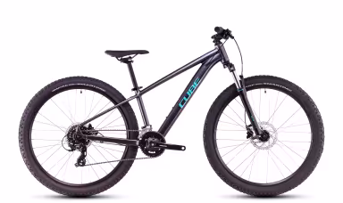 Cube Acid 260 Disc