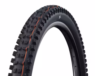Schwalbe Tacky Chan Radial Trail Pro Soft Folding Tire