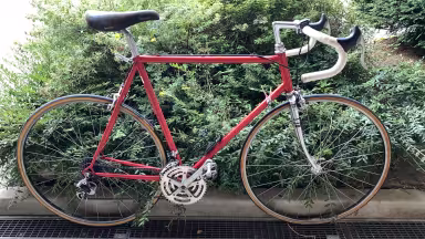 Mercier 1980