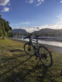 Riese & Müller Roadster touring HS