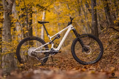 SPECIALIZED Turbo Levo Sl 2 Comp Carbon