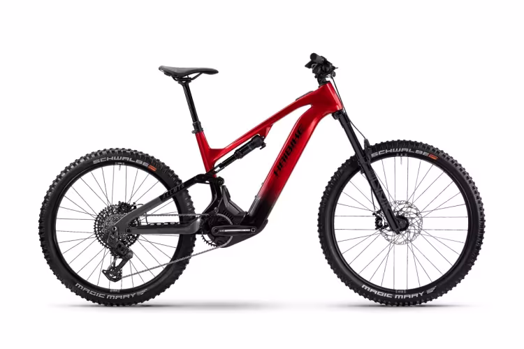 Haibike Allmtn Cf 9