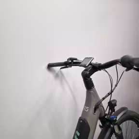 WINORA Sinus R5