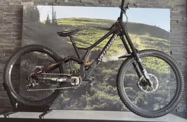 SPECIALIZED Demo Race