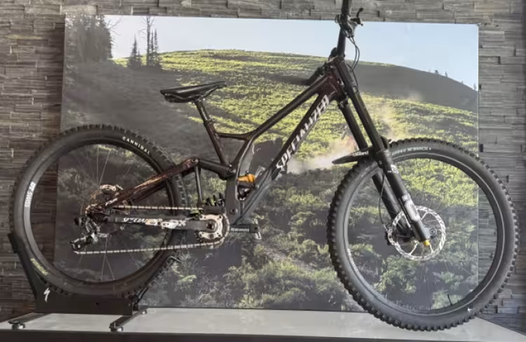 SPECIALIZED Demo Race