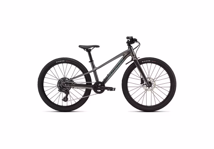 SPECIALIZED Riprock 24