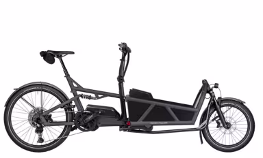 Riese & Müller Load5 60 touring