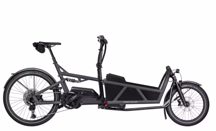 Riese & Müller Load5 60 touring