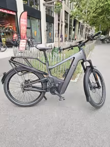 Riese & Müller Delite 5 Gt Pinion Hs