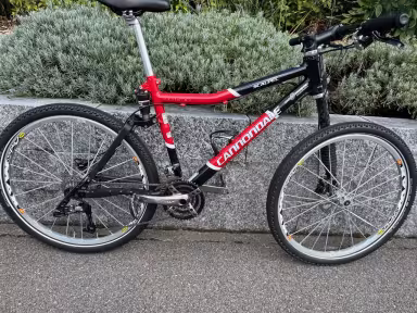 Cannondale Scalpel 1 Lefty