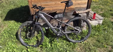 Orbea Wild Fs M 10