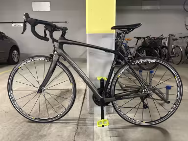 TREK Domane 4.3