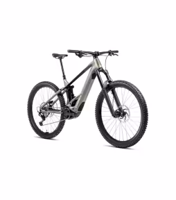 Orbea Wild H10
