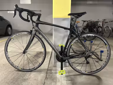 TREK Domane 4.3