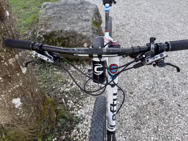 Cannondale F29 Carbon 3
