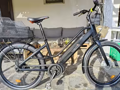 Watts Mp Bike