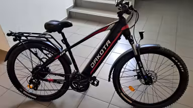 Urbanbiker Dakota Fe