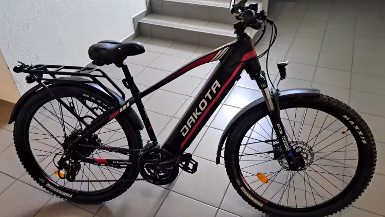 Urbanbiker Dakota Fe