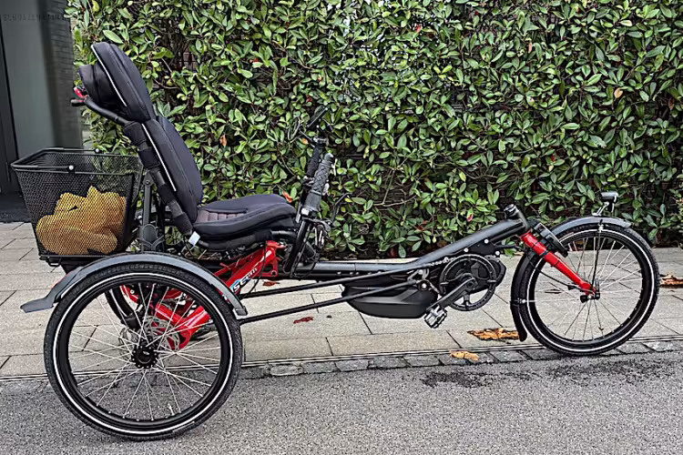 Hase Bikes Trigo E