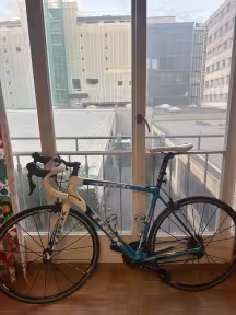 TREK Madone