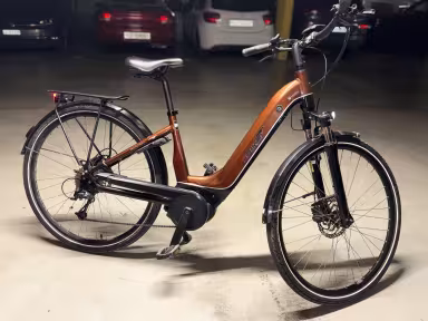 EBIKE Vesta