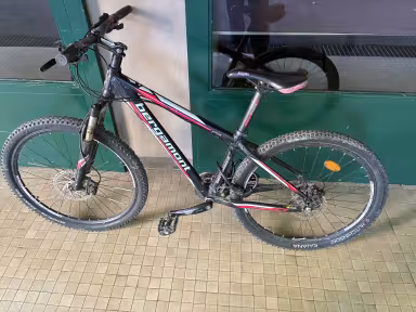 Bergamont Vitox 7.3