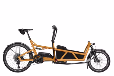 Riese & Müller Load5 60 rohloff HS