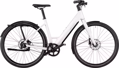 Riese & Müller UBN Six touring