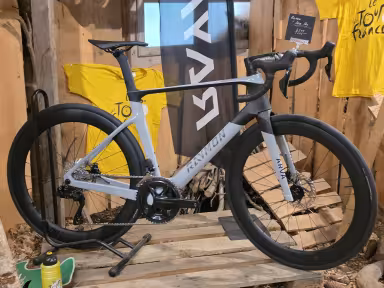 Raymon Arva Pro
