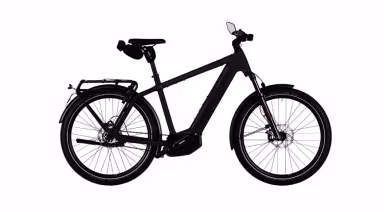 Riese & Müller Charger5 pinion HS