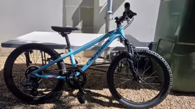 Orbea Mx20 Team