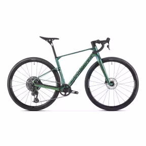 Mondraker Arid Carbon S