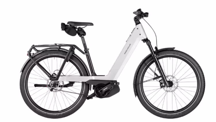 Riese & Müller Nevo5 pinion HS
