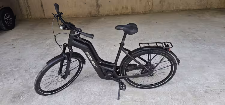 Bergamont E-Horizon Premium Expert Lady