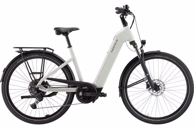 Pegasus Solero Evo 10