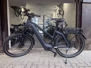 Riese & Müller Charger GT vario