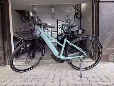 Riese & Müller Roadster
