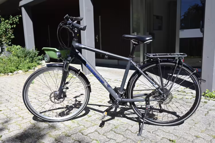 Crosswave Avalon Trekkingbike