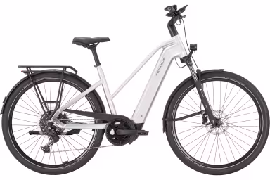 Pegasus Premio Evo 10 Lite