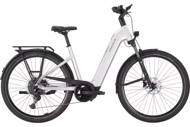 Pegasus Premio Evo 10 Lite