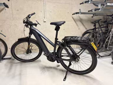 Riese & Müller Charger 4Gt