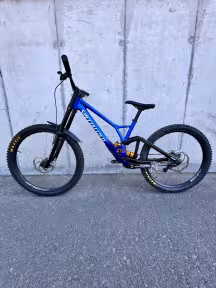 SPECIALIZED Demo Race