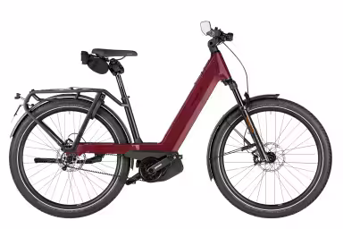 Riese & Müller Nevo5 pinion HS